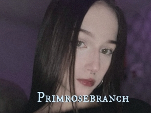 Primrosebranch