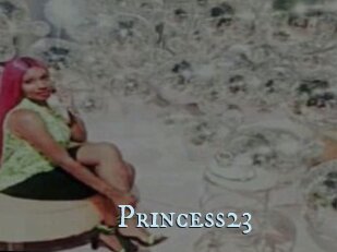 Princess23
