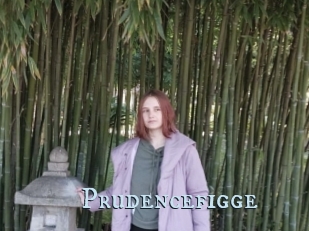 Prudencefigge