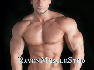 RavenMuscleStud