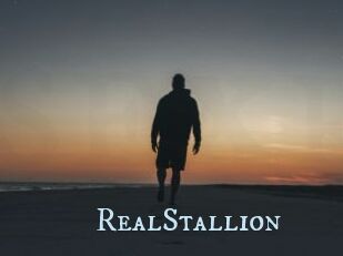 RealStallion