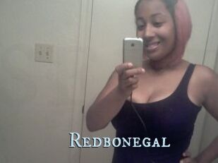 Redbonegal