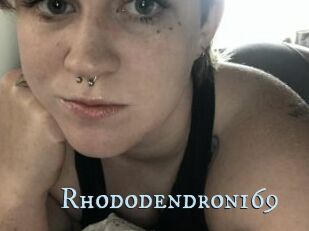 Rhododendron169