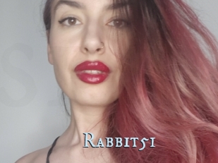 Rabbit51