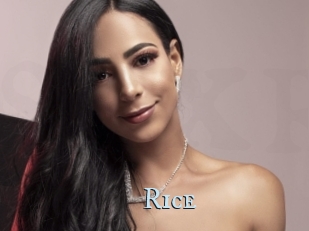 Rice