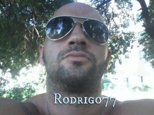 Rodrigo77