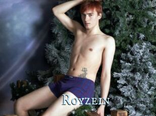 Royzein