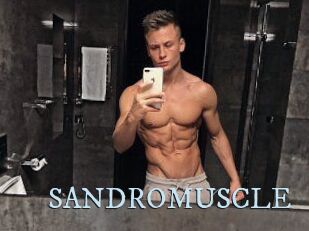 SANDRO_MUSCLE