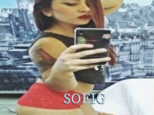 SOFI_G