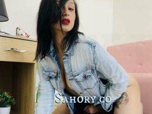 Sahory_co