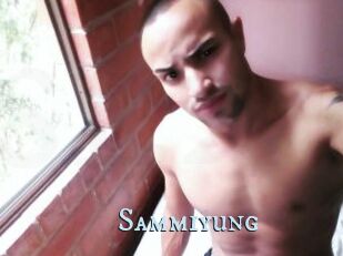 Sammiyung