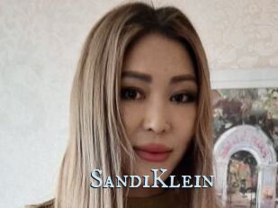 SandiKlein