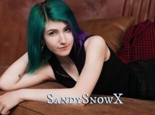SandySnowX
