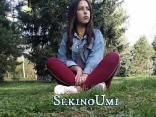 SekinoUmi