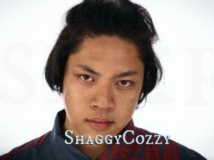 ShaggyCozzy