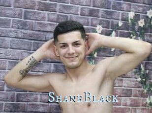 ShaneBlack