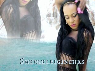 Shenielbiginches