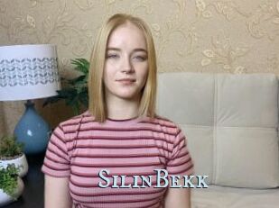 SilinBekk