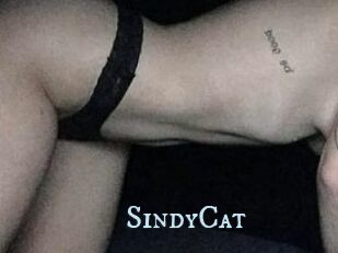 SindyCat