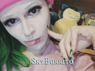 SkyBurrito
