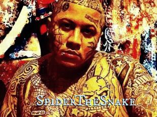 SpiderTheSnake