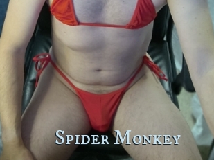 Spider_Monkey