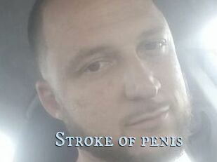 Stroke_of_penis