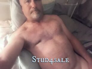 Stud4sale