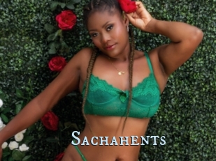 Sachahents