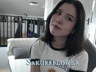 Sakuraflower