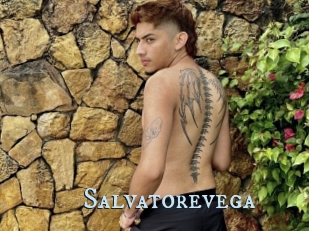 Salvatorevega