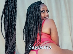 Sammaya