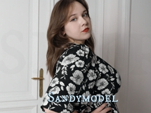 Sandymodel