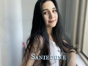 Saniedune