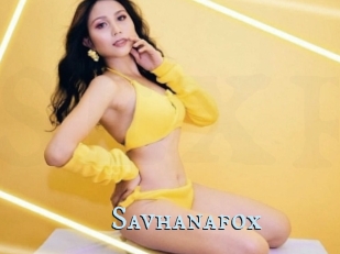 Savhanafox