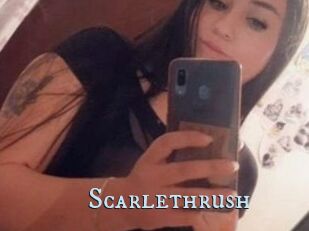 Scarlethrush