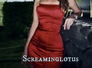 Screaminglotus