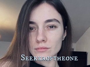 Seekeroftheone