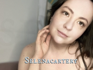 Selenacartery