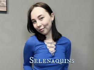 Selenaquins