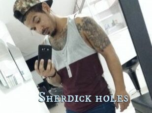 Sherdick_holes