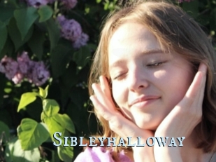 Sibleyhalloway