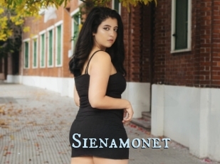 Sienamonet