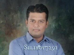 Siliboy7291