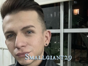 Smallgiant29