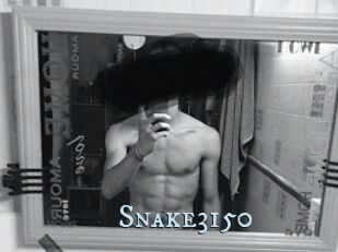 Snake3150