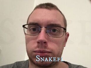 Snakefl