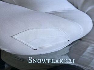 Snowflake21