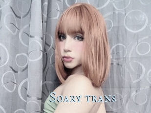 Soary_trans