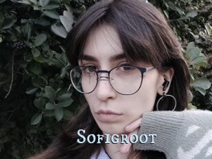 Sofigroot